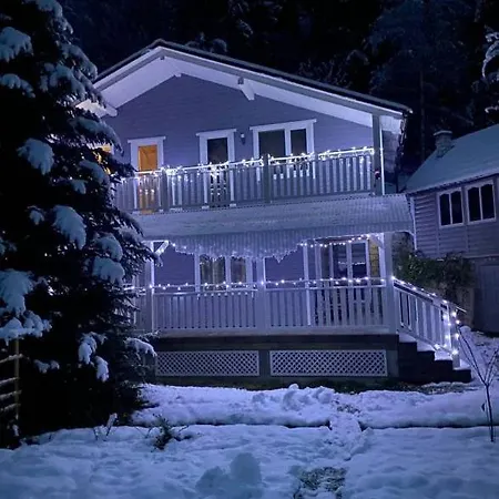 Carpathian House Летний дом Vygoda
