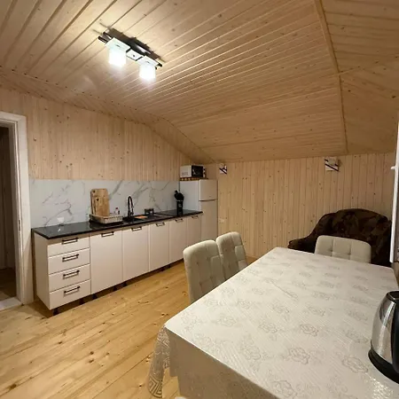 Carpathian House Vygoda