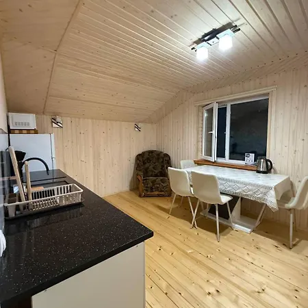 Carpathian House Летний дом Vygoda
