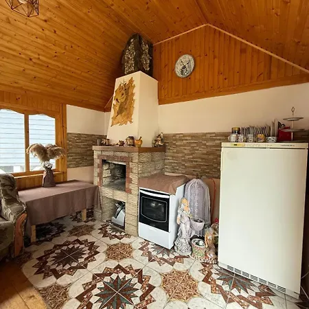 Carpathian House Летний дом Vygoda