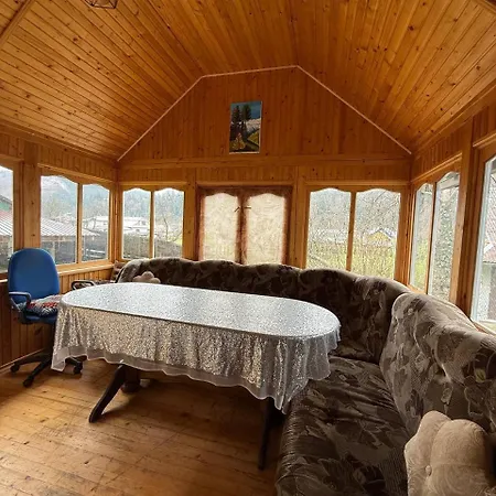 Летний дом Carpathian House Vygoda